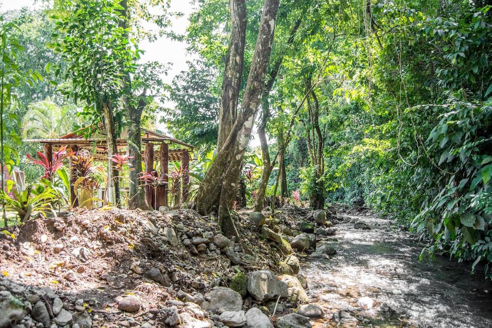 Hotel Lavas Del Arenal La Fortuna Esterno foto